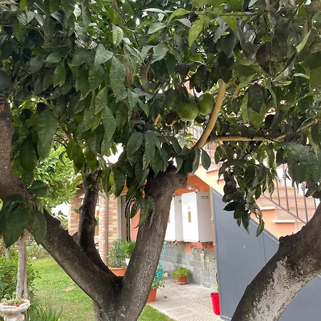 Un Sogno Nel Acilia