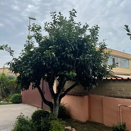 Un Sogno Nel * Acilia